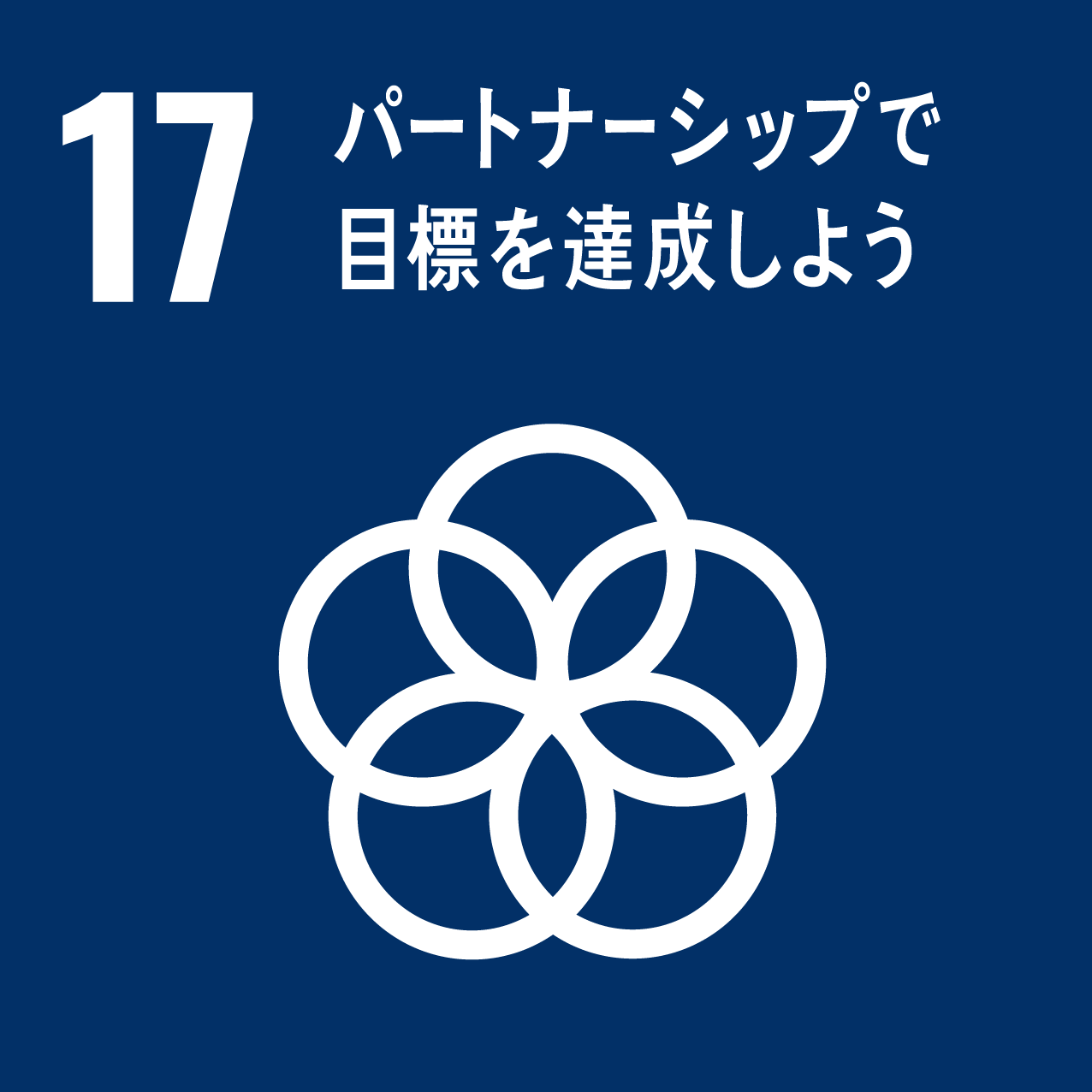 17．パートナーシップで 目標を達成しよう